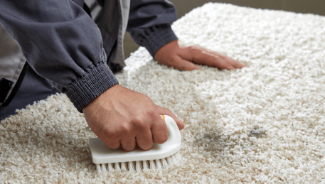 Professional Rug Cleaning Monbulk
